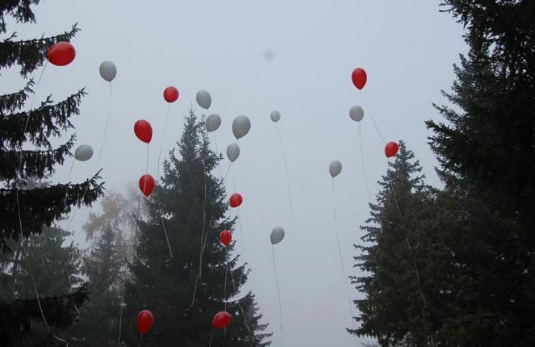 Kolorowe balony w lesie